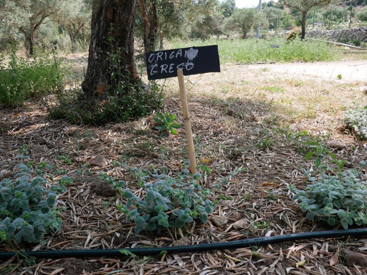 Pantalica Ranch Agriturismo Siciliano Βίλα Sortino Εξωτερικό φωτογραφία