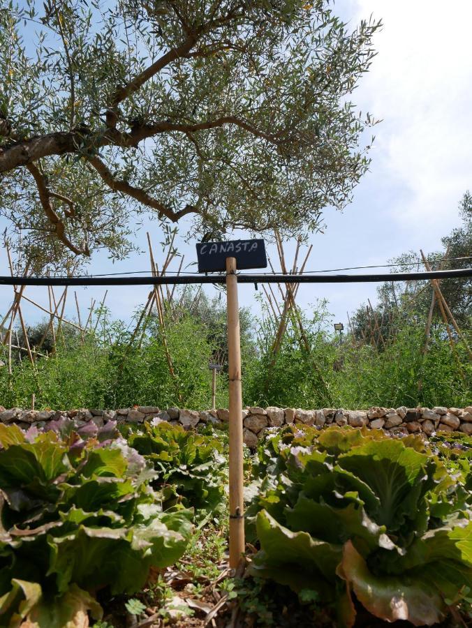 Pantalica Ranch Agriturismo Siciliano Βίλα Sortino Εξωτερικό φωτογραφία