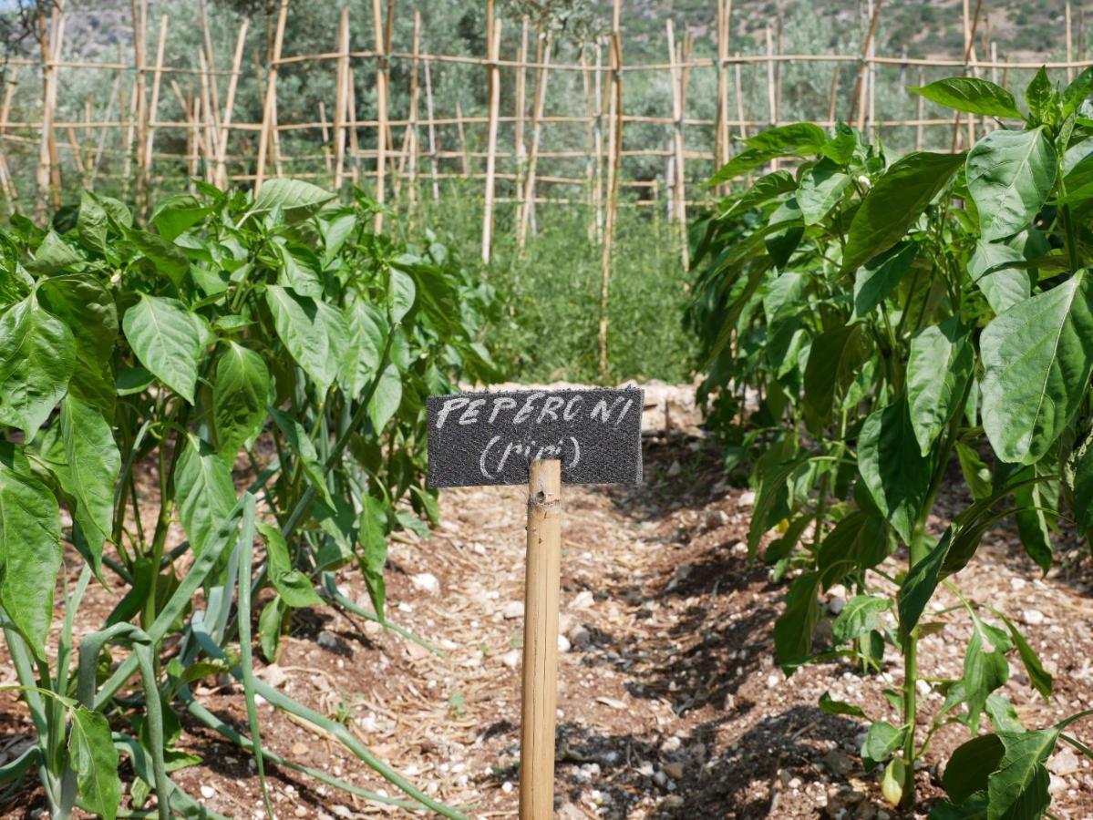 Pantalica Ranch Agriturismo Siciliano Βίλα Sortino Εξωτερικό φωτογραφία