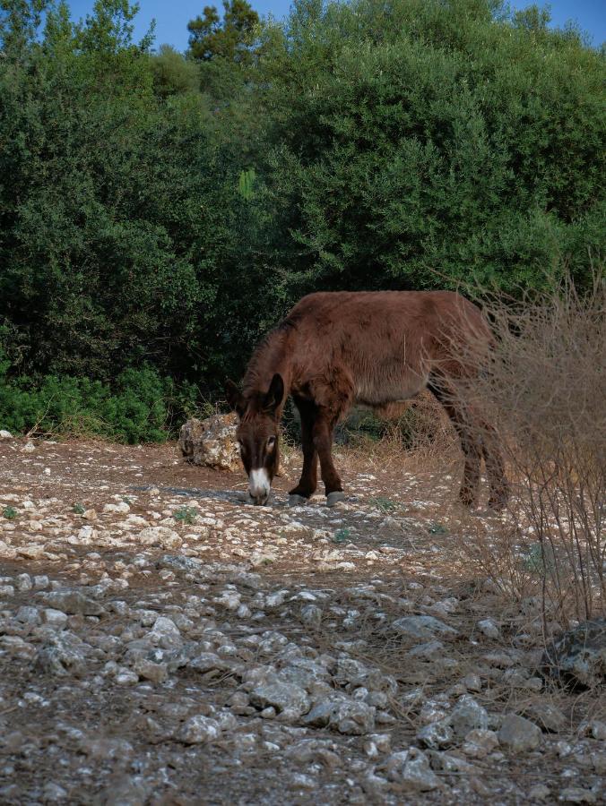 Pantalica Ranch Agriturismo Siciliano Βίλα Sortino Εξωτερικό φωτογραφία