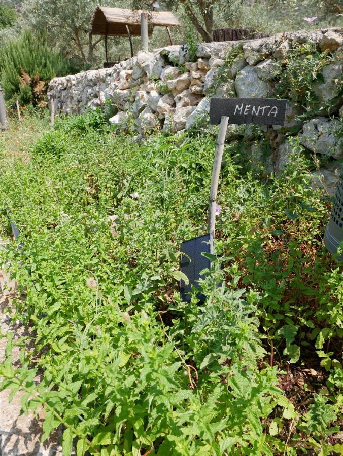 Pantalica Ranch Agriturismo Siciliano Βίλα Sortino Εξωτερικό φωτογραφία