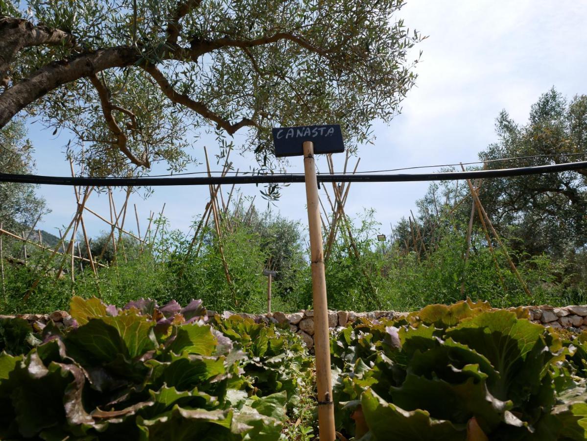 Pantalica Ranch Agriturismo Siciliano Βίλα Sortino Εξωτερικό φωτογραφία